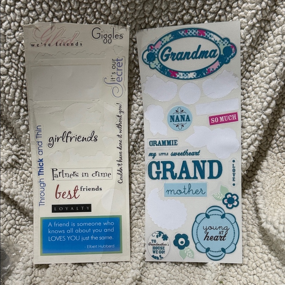 Grandmother and best friends Decorative Sticker Sheet - Blue and Pink